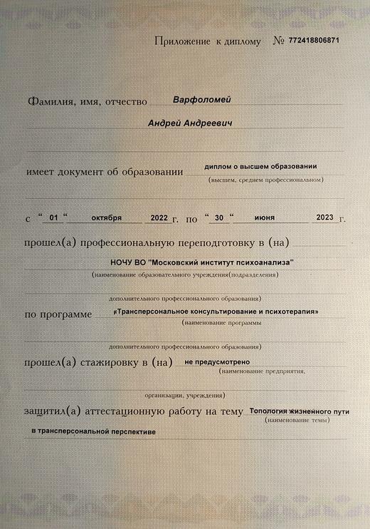 Приложение 1 к диплому МИП